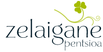 Zelaigane Logo